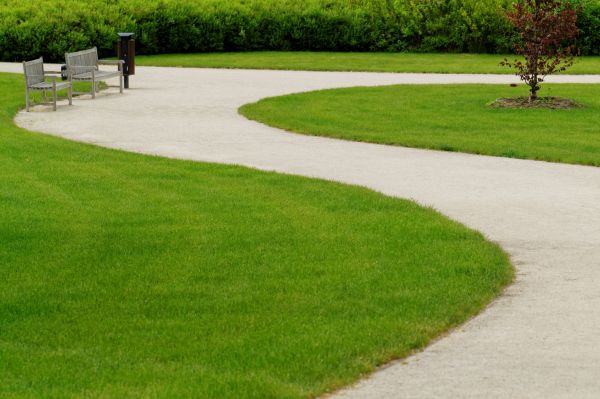 Cost of Concrete Walkway Installation in Lexington