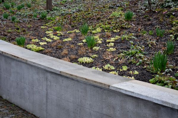 Concrete Wall Construction in Lexington
