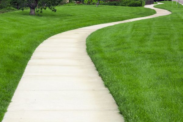 Cost of Pathway Replacement in Lexington