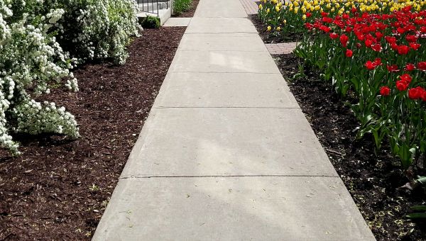 Cost of Sidewalk Slab Replacement in Lexington