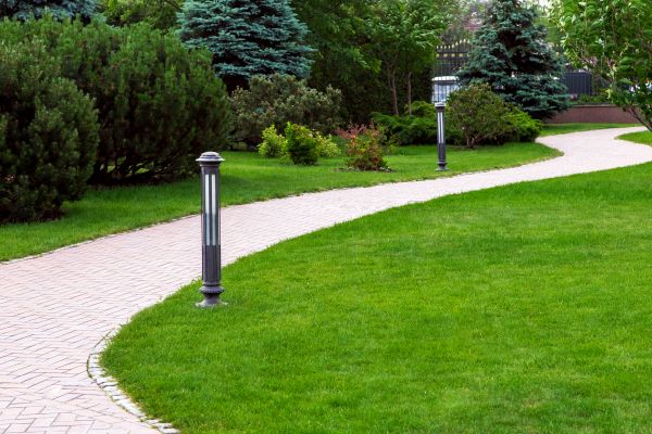 Cost of Backyard Sidewalk Installation in Lexington